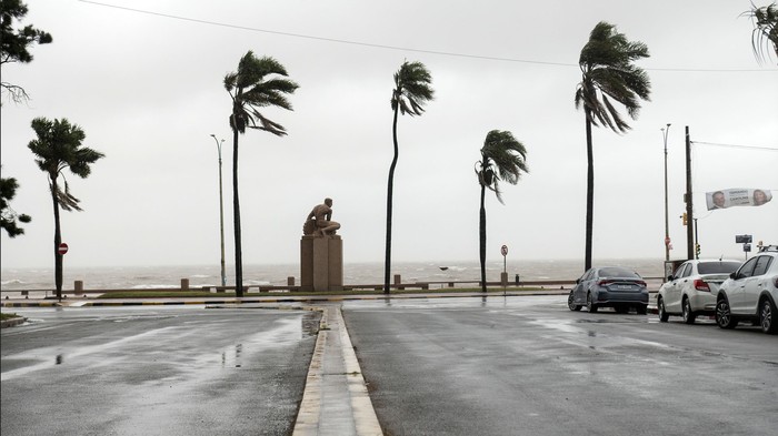 Foto principal del artículo 'Inumet emitió aviso por “lluvias, viento y marcado descenso de temperatura” desde este martes' · Foto: Alessandro Maradei