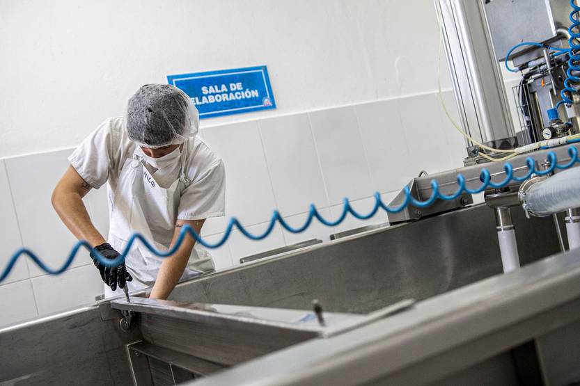 20251113 ECO industria