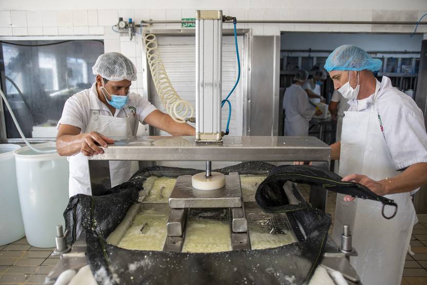 20270717 Naturalia 2