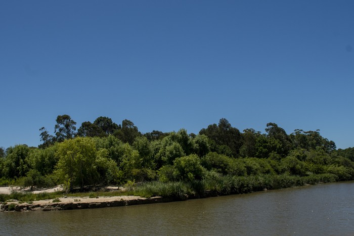 Lugar donde se instalaría el proyecto Neptuno-Arazatí, en el balneario Arazatí, San José (archivo, diciembre de 2024). · Foto: Ignacio Dotti