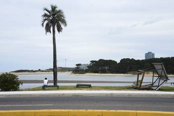 (archivo, noviembre de 2024) · Foto: Natalia Ayala