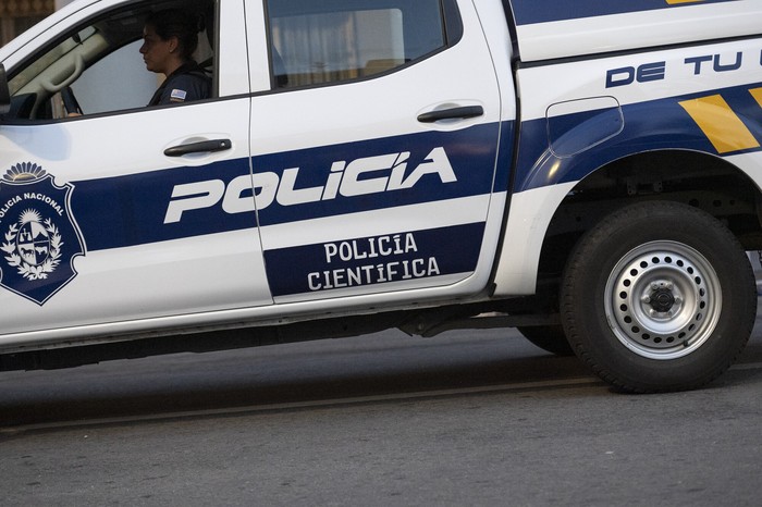 Foto: Alessandro Maradei (archivo).