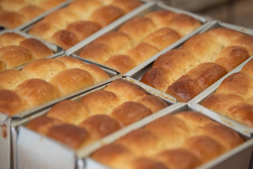 30 20250104 Brioche Félix 3