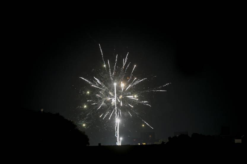 20250129 f artificiales
