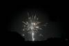20250129 f artificiales