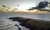 p ballena RS252276_20250102_ER_015