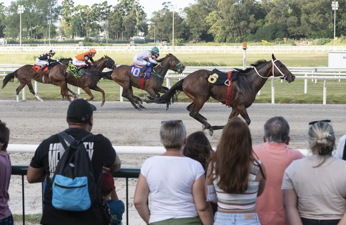 Hipódromo de Maroñas, el 6 de enero de 2025. · Foto: Alessandro Maradei