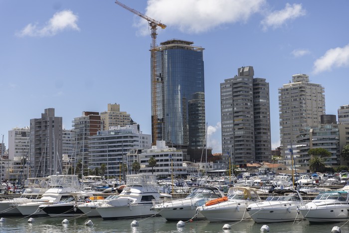 Puerto de Punta del Este (archivo, enero de 2025). · Foto: Ernesto Ryan