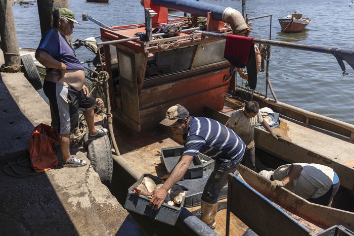 Pescadores en el Cerro de Montevideo. · Foto: Ernesto Ryan