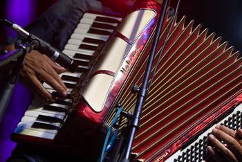 Foto principal del artículo 'Sociedad de Músicos de Maldonado fundará cooperativa de artistas del Este' · Foto: Gianni Schiaffarino