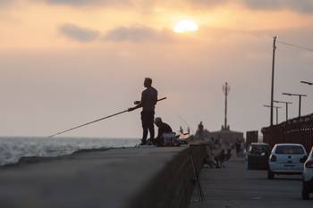 Rambla de Montevideo (archivo, enero de 2025). · Foto: Alessandro Maradei