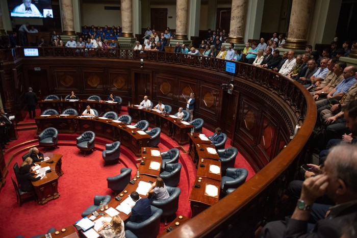 Camara de Senadores en el Palacio Legislativo · Foto: Gianni Schiaffarino