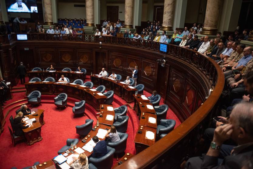 20250207 Senado