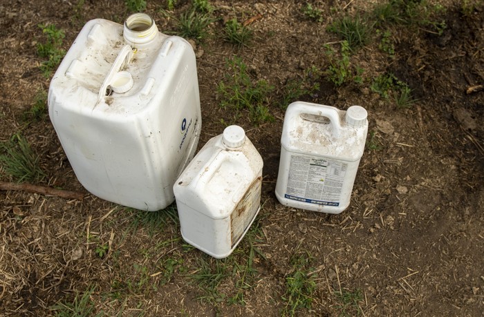 Archivo, enero de 2025. · Foto: Ignacio Dotti