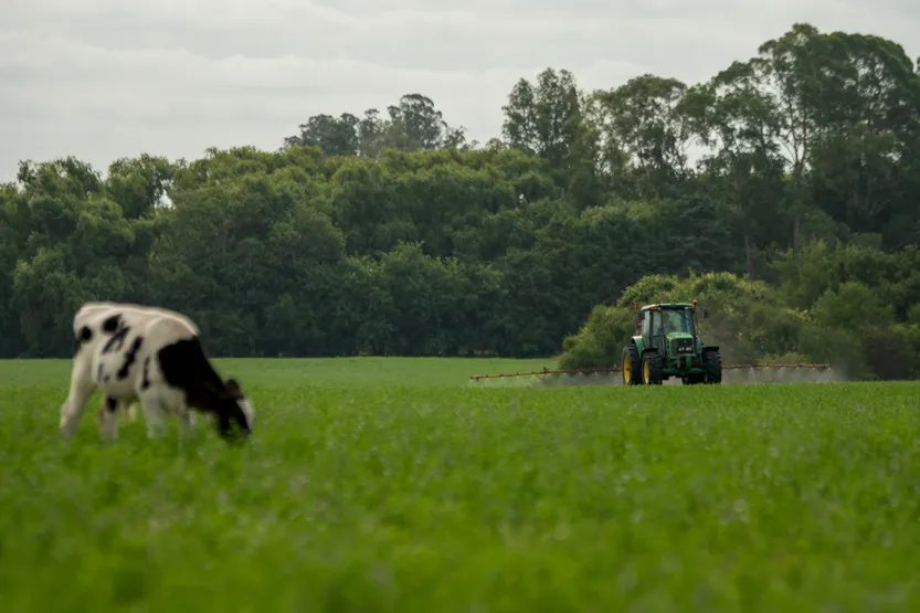 20260320 AGRO Entrevista (A.Guidice) P16 F2