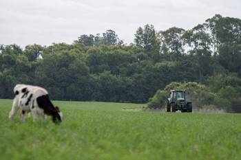 Foto: Ignacio Dotti.