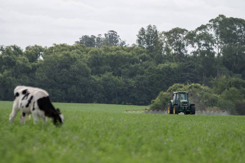 20250424 suple Economía Uruguay ante un nuevo mundo comercial