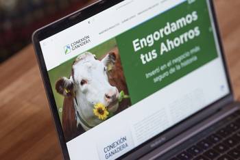 Foto principal del artículo 'Conexión Ganadera: piden cierre de fronteras para Carrasco y familiares de Basso' · Foto: Gianni Schiaffarino