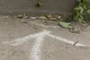 20250206 Piedras Blancas 2