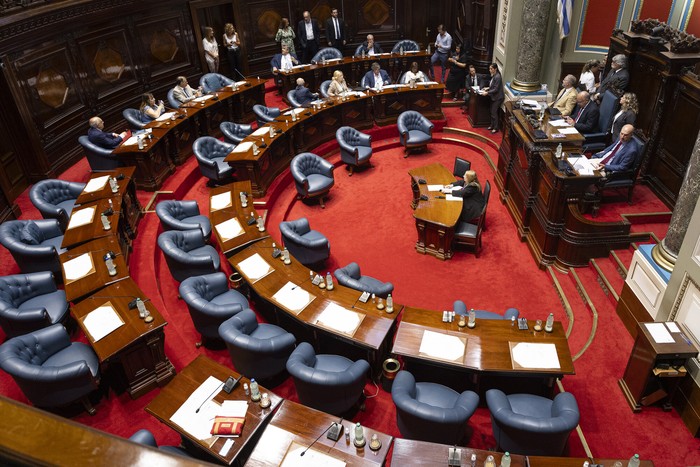 Cámara de Senadores, el 5 de febrero de 2025. · Foto: Rodrigo Viera Amaral