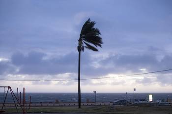 Rambla de Montevideo (archivo, febrero de 2025). · Foto: Alessandro Maradei