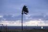 20250403 viento