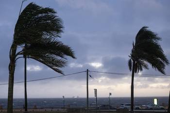 Temporal en Montevideo (archivo, febrero de 2025). · Foto: Alessandro Maradei