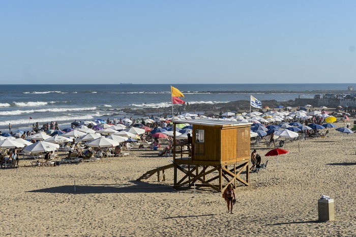 Punta del Este. (archivo, ferbrero de 2025) · Foto: Ignacio Dotti
