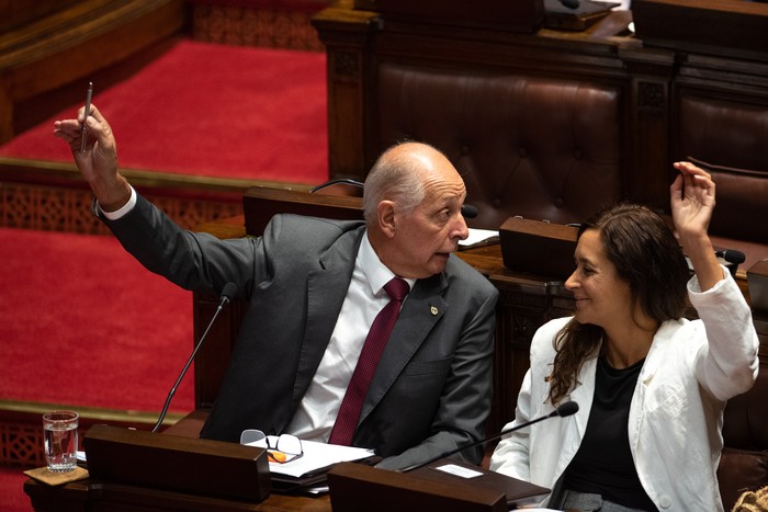 Gustavo y Nicolle Salle en la Cámara de Diputados. (archivo, febrero de 2025) · Foto: Gianni Schiaffarino