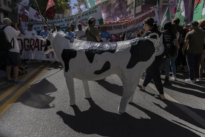 Foto: Ernesto Ryan (archivo, febrero de 2025)