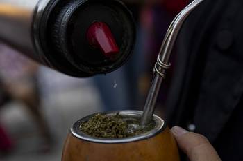 Foto principal del artículo 'La yerba mate a la conquista de Europa: españoles reportan que tomarla en té a diario tiene efectos cardiometabólicos beneficiosos' · Foto: Rodrigo Viera Amaral