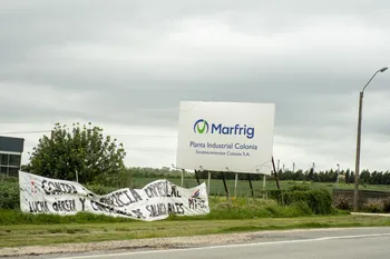 Acceso a Establecimiento Colonia, frigorífico perteneciente a Grupo Marfrig, en Tarariras (archivo, febrero de 2025). · Foto: Ignacio Dotti