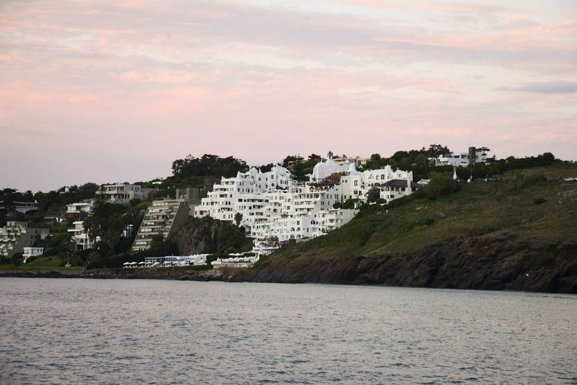 p ballena RS262879_20250215NA-149