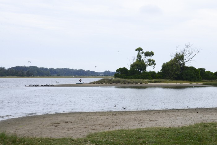 Durante una reunión de vecinos en defensa del humedal a orillas del Puente de la Barra, en Maldonado (archivo, febrero de 2025). · Foto: Natalia Ayala Durante una reunión de vecinos en defensa del humedal a orillas del Puente de la Barra, en Maldonado (archivo, febrero de 2025). · Foto: Natalia Ayala