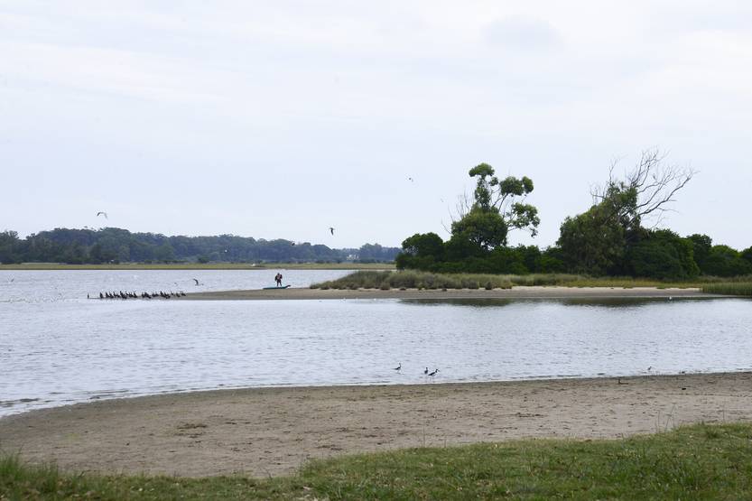 20250917 Arroyo maldonado