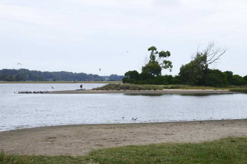 20260128 maldo humedal