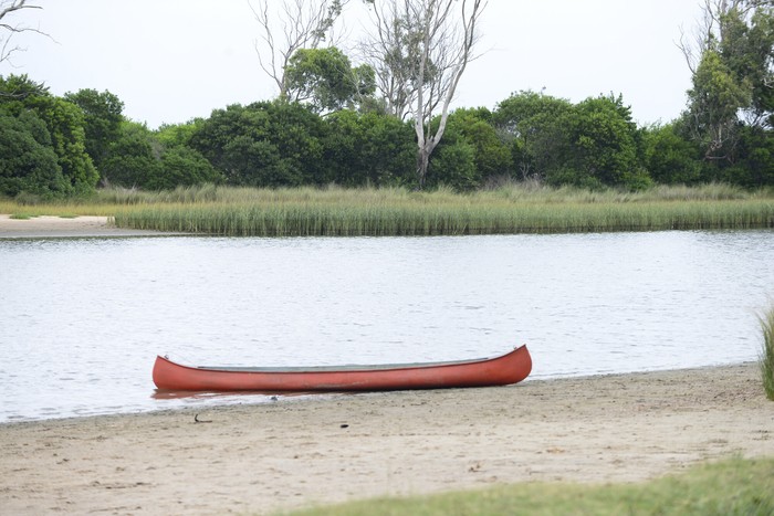 Humedal de Maldonado (archivo, febrero de 2025). · Foto: Natalia Ayala