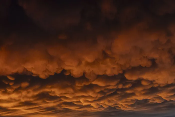 (archivo, marzo de 2025) · Foto: Ernesto Ryan