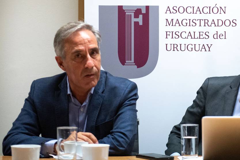 perciballe RS266679_20250317SCH_ 512725