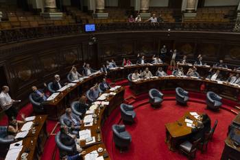 Cámara de Senadores (archivo, marzo de 2025). · Foto: Ernesto Ryan