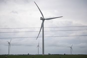 Parque eólico en el departamento de Colonia (archivo, marzo de 2025). · Foto: Alessandro Maradei