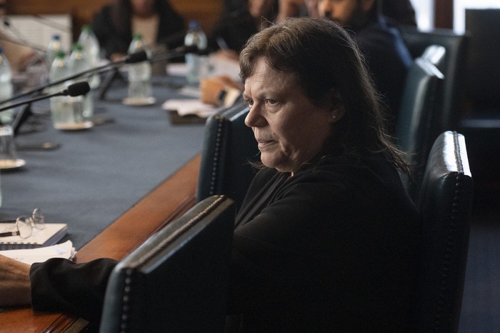 Mónica Ferrero en Comisión (archivo). · Foto: Alessandro Maradei