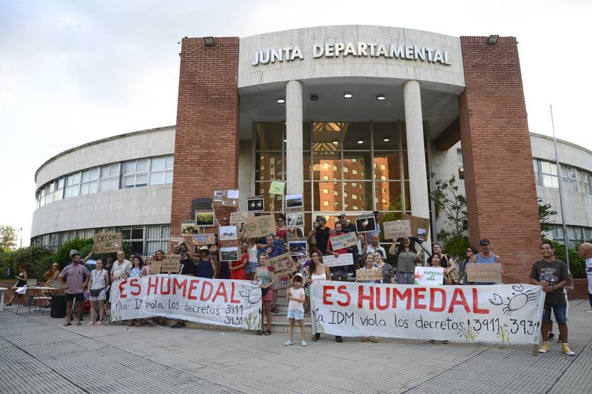 20250613 Humedal arroyo Maldonado