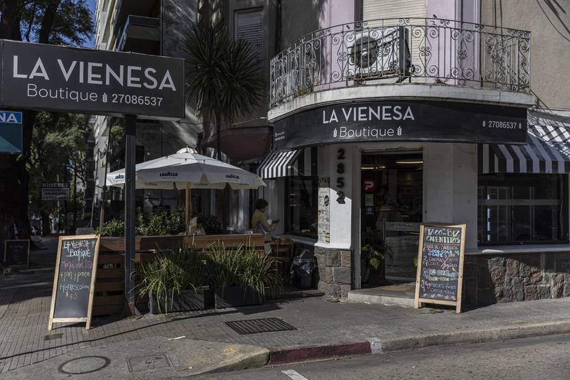 20250417 vienesa