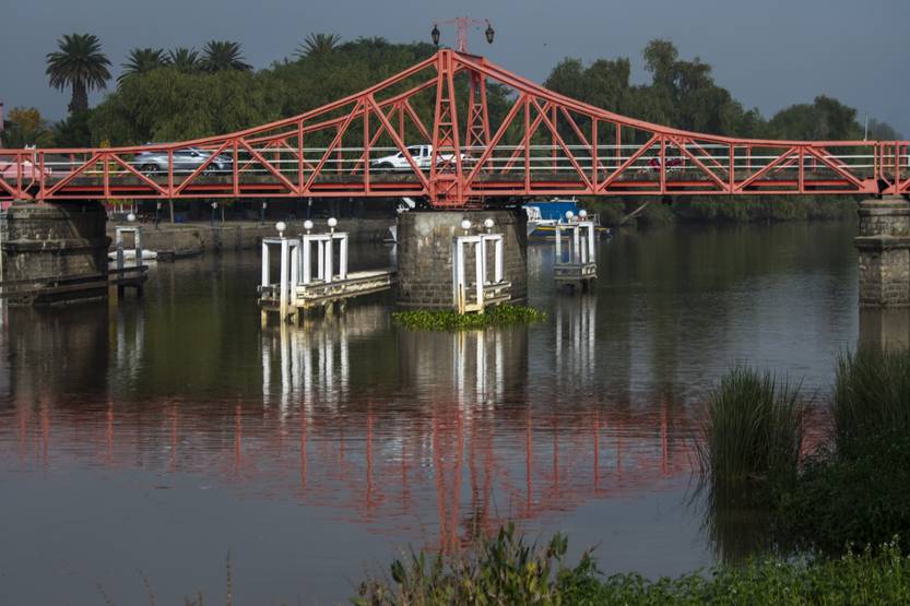 20260121 col amnerys poeta calle