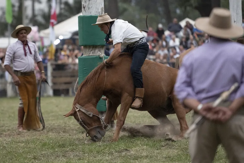 20260101 AGROPECUARIA Criollas 2 (Roosevelt))