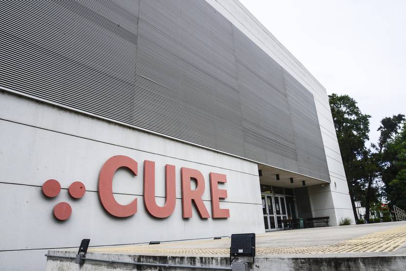 20251205 maldo cure muestra cabello