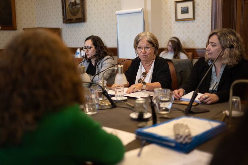 20250423 Comisión de Derechos Humanos y Equidad de Género