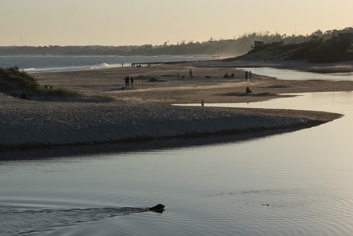 Balneario La Floresta. (archivo, mayo de 2025) · Foto: Gianni Schiaffarino