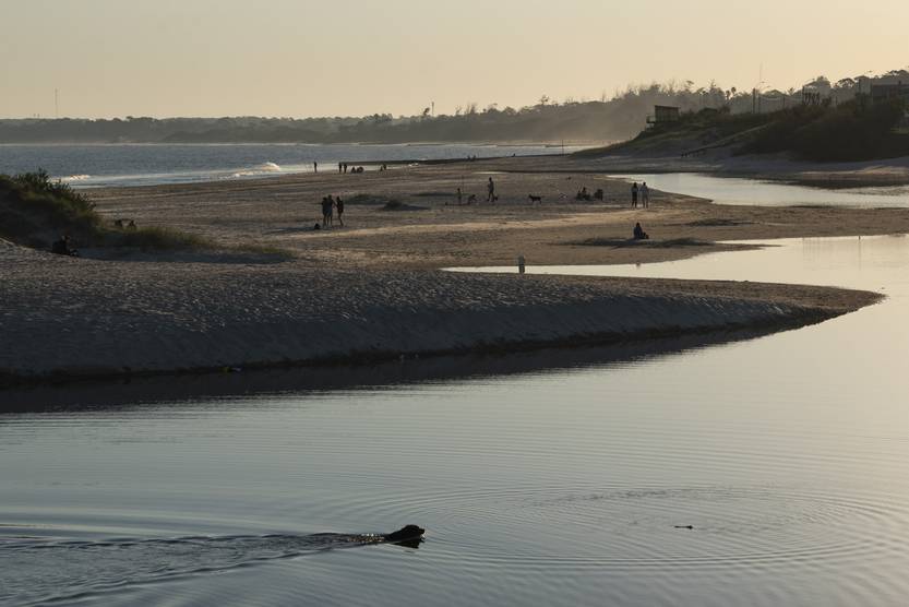20251103  amb canelones